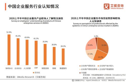艾媒咨詢2021上半年中國企業服務專題研究報告 信息咨詢服務