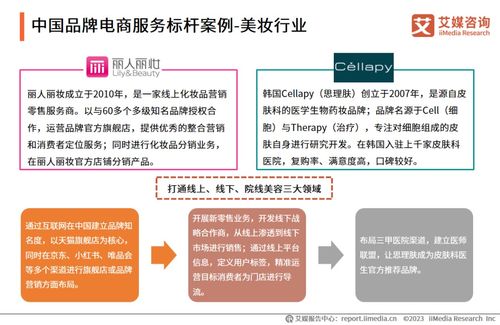 2023年中國(guó)品牌電商服務(wù)行業(yè)研究報(bào)告——艾媒咨詢信息咨詢服務(wù)解析